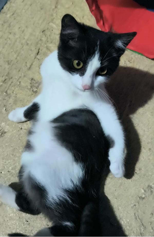  Mercoledì dal nasino rosa Foto 6